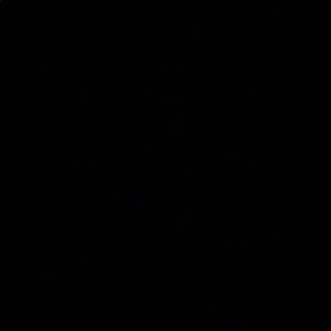 Meet your Posher, Samia